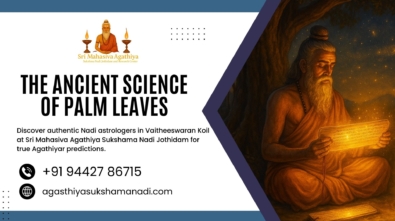 Nadi Astrologers in Vaitheeswaran Koil